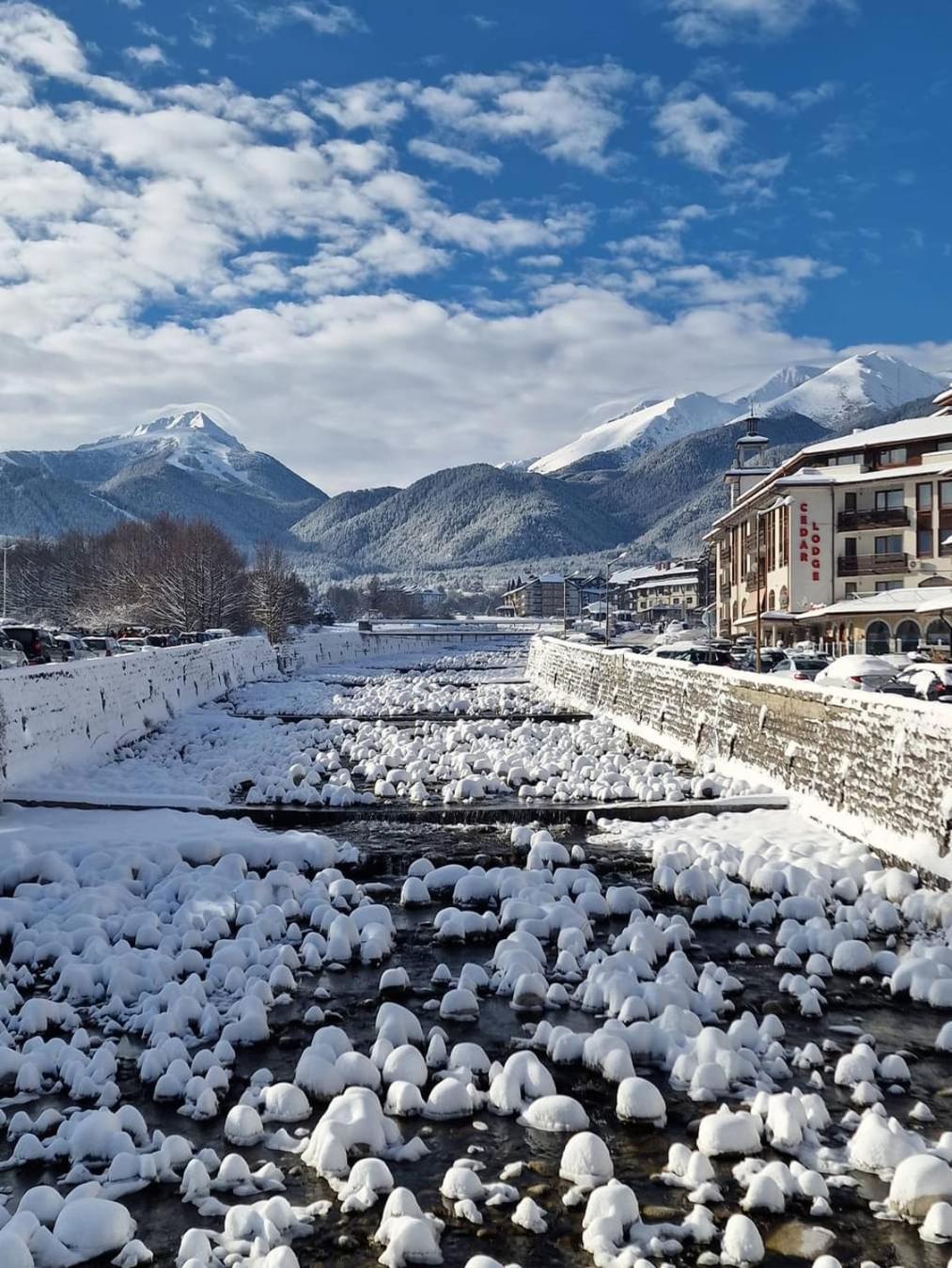 Studio Bella, Bansko Bagian luar foto